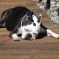 Just One Of Those Days…