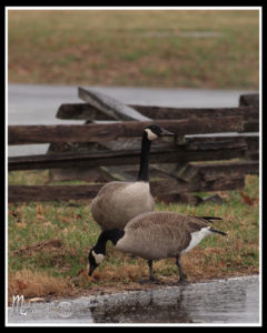 valley-forge-trip-3-2015-02