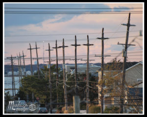 10-18-15-LBI-At-Helen-and-Jeffs-04