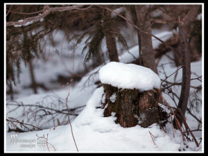 2-13-14-16-Sterling-Ridge-Lodge-Stowe-Vermont-07