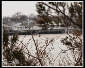 2-20-16 Manasquan Dog Beach-02