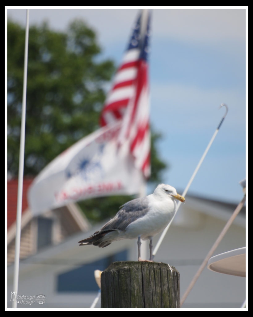 Manasquan-On-The-SS-Barnacle-7-24-16-13