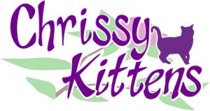 chrissy-kittens-logo-large